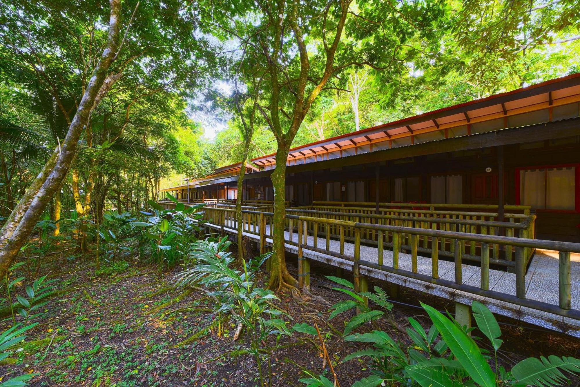 Evergreen Lodge Tortuguero Εξωτερικό φωτογραφία