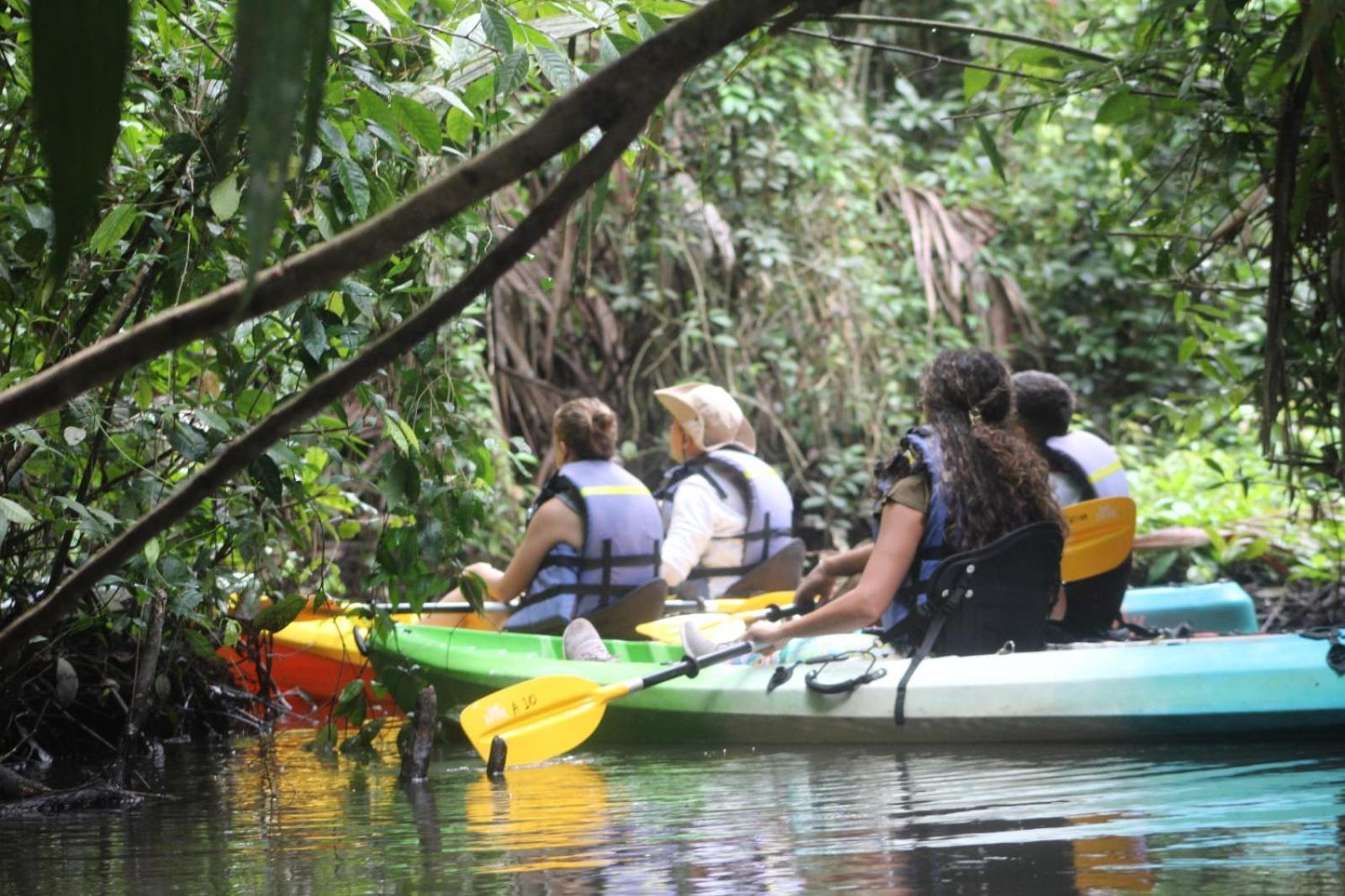 Evergreen Lodge Tortuguero Εξωτερικό φωτογραφία