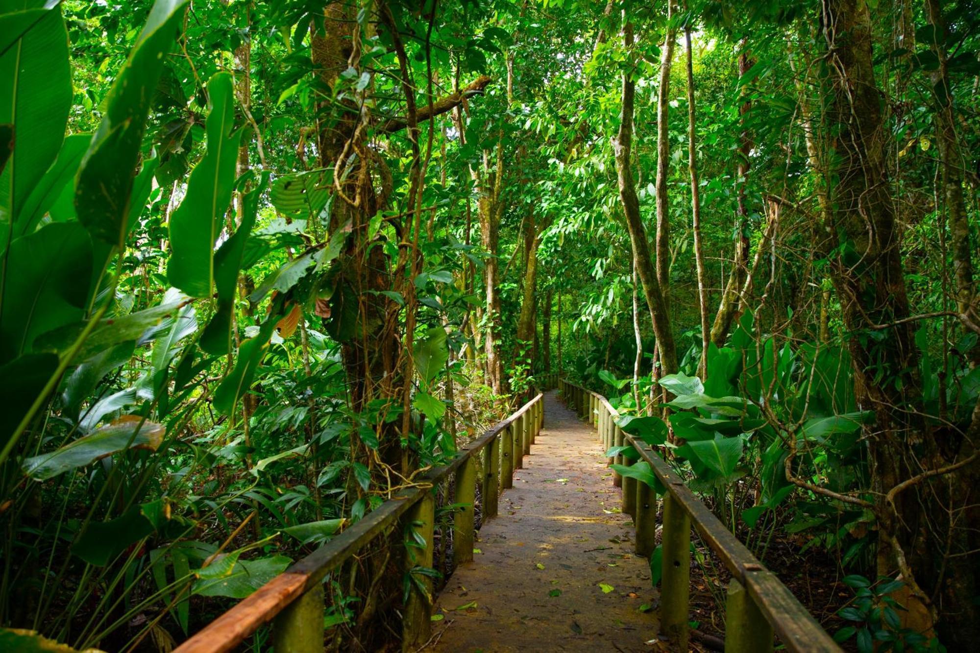 Evergreen Lodge Tortuguero Εξωτερικό φωτογραφία