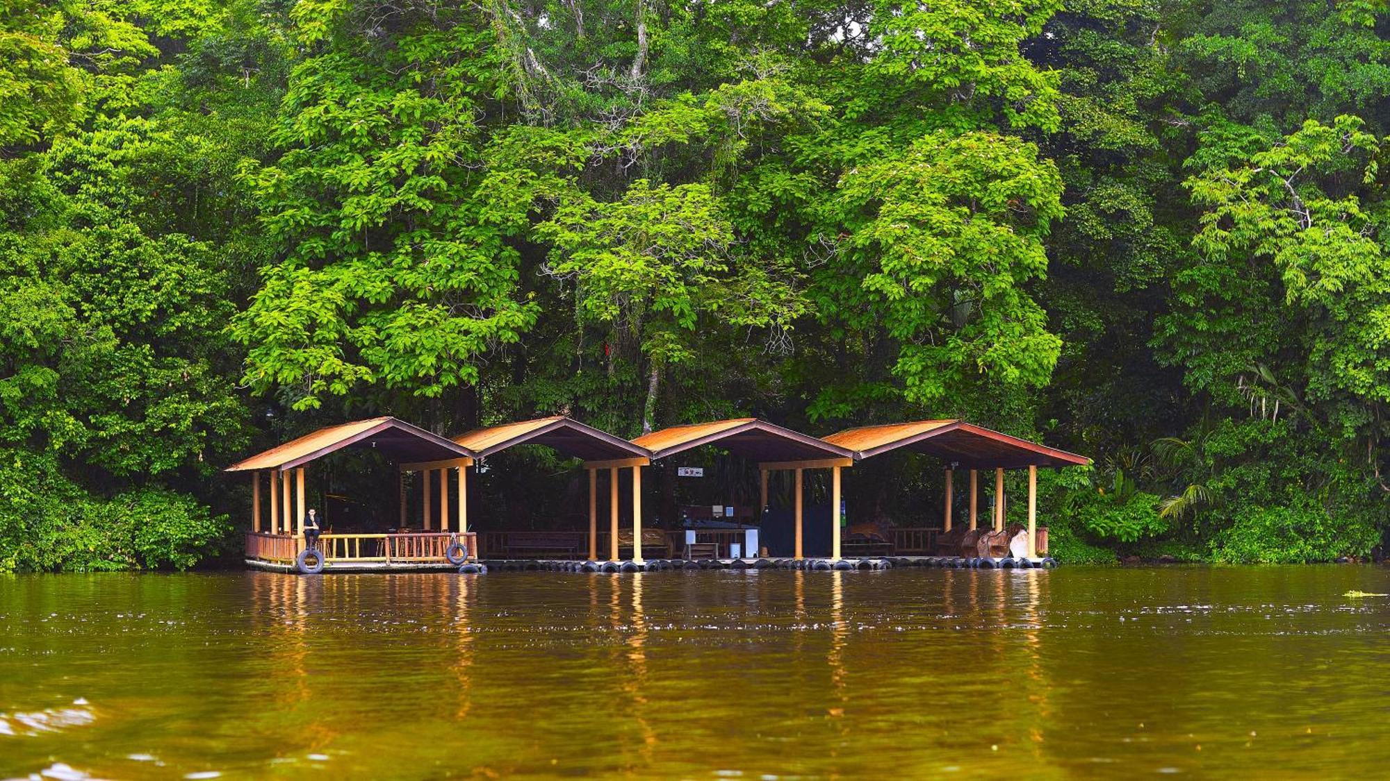 Evergreen Lodge Tortuguero Εξωτερικό φωτογραφία