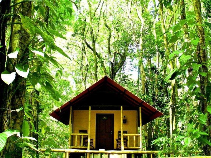 Evergreen Lodge Tortuguero Εξωτερικό φωτογραφία