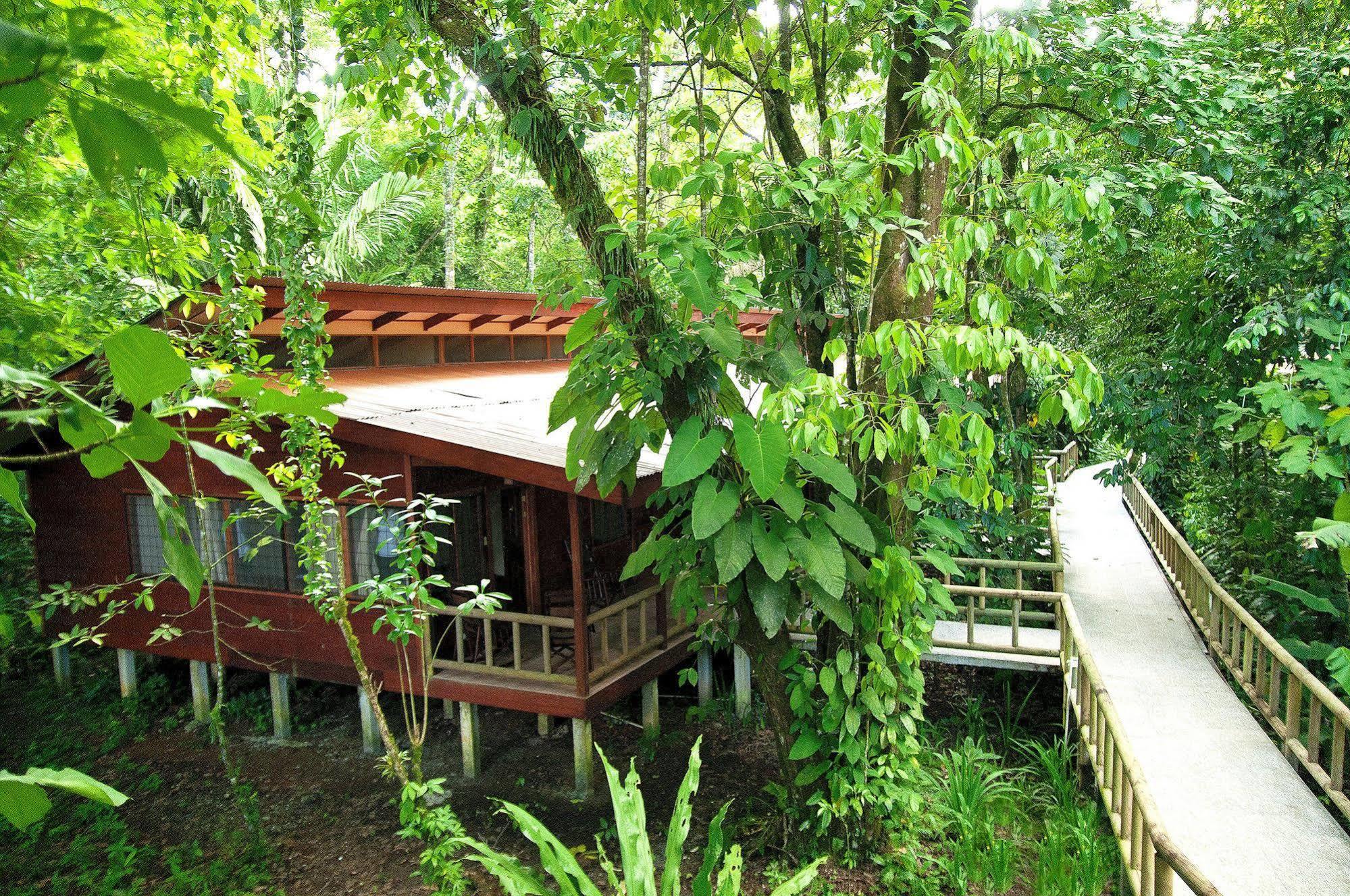 Evergreen Lodge Tortuguero Εξωτερικό φωτογραφία
